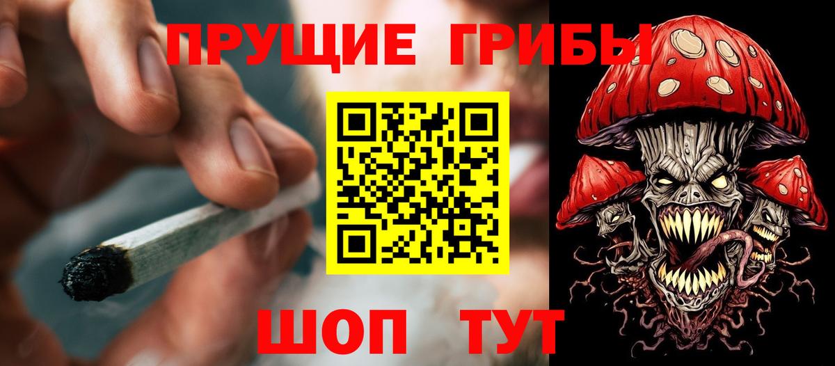 Балашов  даркнет сайт  Псилоцибиновые грибы Cubensis  Вход с VPN  Псилоцибиновые грибы GOLDEN TEACHER 